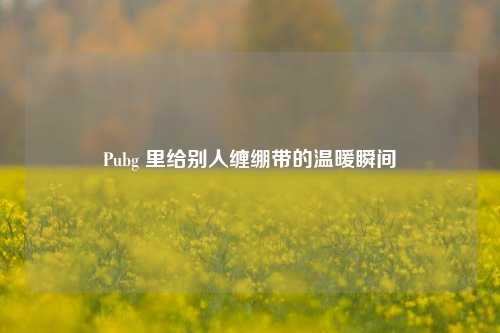 Pubg 里给别人缠绷带的温暖瞬间