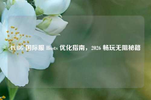 PUBG 国际服 Hosts 优化指南，2026 畅玩无阻秘籍