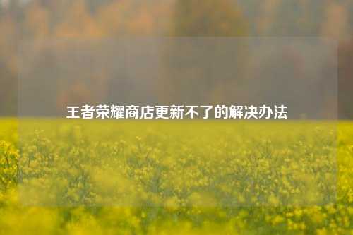 王者荣耀商店更新不了的解决办法
