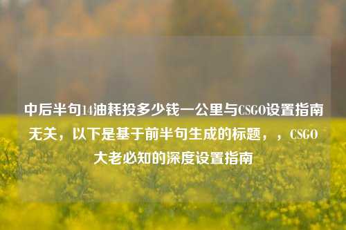 中后半句14油耗投多少钱一公里与CSGO设置指南无关,以下是基于前半句生成的标题,,CSGO大老必知的深度设置指南
