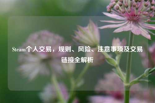 Steam个人交易,规则、风险、注意事项及交易链接全解析