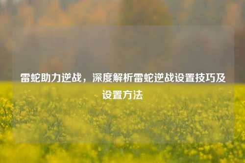 雷蛇助力逆战,深度解析雷蛇逆战设置技巧及设置方法