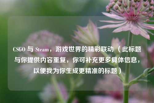 CSGO 与 Steam，游戏世界的精彩联动 （此标题与你提供内容重复，你可补充更多具体信息，以便我为你生成更精准的标题）