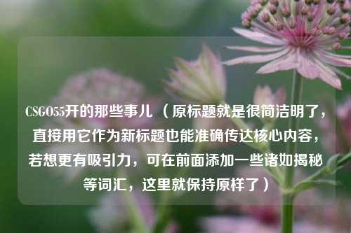 CSGO55开的那些事儿 (原标题就是很简洁明了,直接用它作为新标题也能准确传达核心内容,若想更有吸引力,可在前面添加一些诸如揭秘等词汇,这里就保持原样了)
