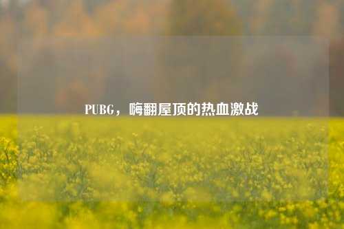 PUBG，嗨翻屋顶的热血激战
