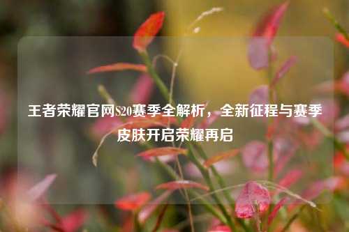 王者荣耀官网S20赛季全解析,全新征程与赛季皮肤开启荣耀再启