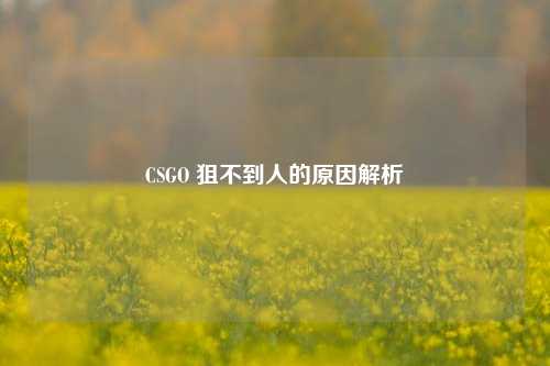 CSGO 狙不到人的原因解析