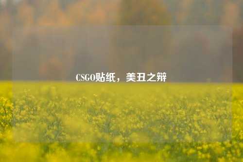 CSGO贴纸,美丑之辩