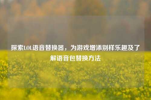 探索LOL语音替换器,为游戏增添别样乐趣及了解语音包替换方法
