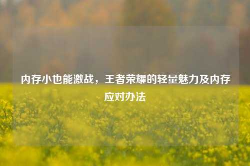内存小也能激战，王者荣耀的轻量魅力及内存应对办法