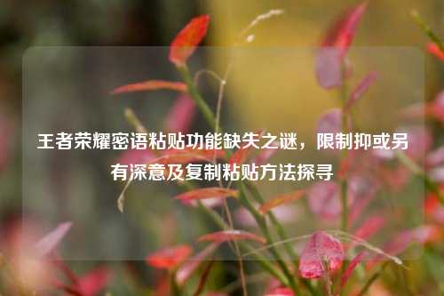 王者荣耀密语粘贴功能缺失之谜，限制抑或另有深意及复制粘贴方法探寻