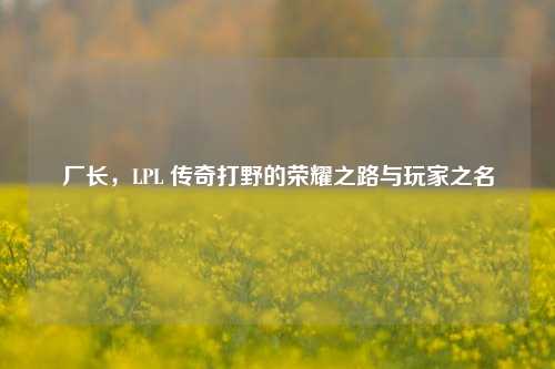 厂长,LPL 传奇打野的荣耀之路与玩家之名