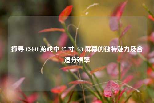 探寻 CSGO 游戏中 27 寸 4:3 屏幕的独特魅力及合适分辨率