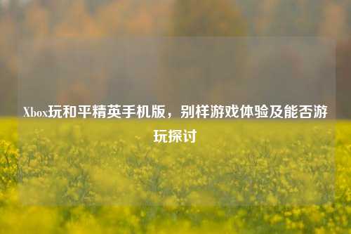 Xbox玩和平精英手机版，别样游戏体验及能否游玩探讨