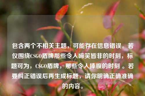 包含两个不相关主题,可能存在信息错误。若仅围绕CSGO盾牌那些令人啼笑皆非的时刻,标题可为,CSGO盾牌,那些令人捧腹的时刻 。若要纠正错误后再生成标题,请你明确正确准确的内容。