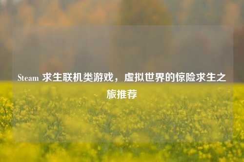 Steam 求生联机类游戏,虚拟世界的惊险求生之旅推荐