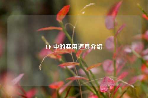 CF 中的实用道具介绍