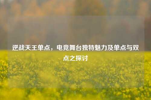 逆战天王单点,电竞舞台独特魅力及单点与双点之探讨