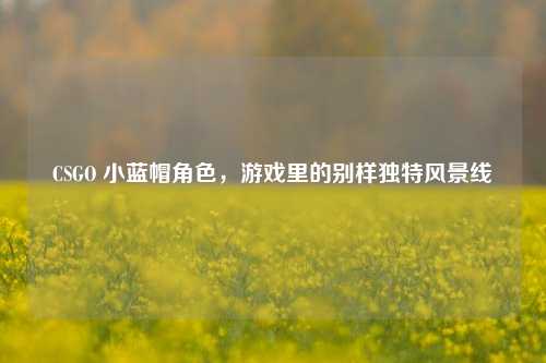 CSGO 小蓝帽角色,游戏里的别样独特风景线