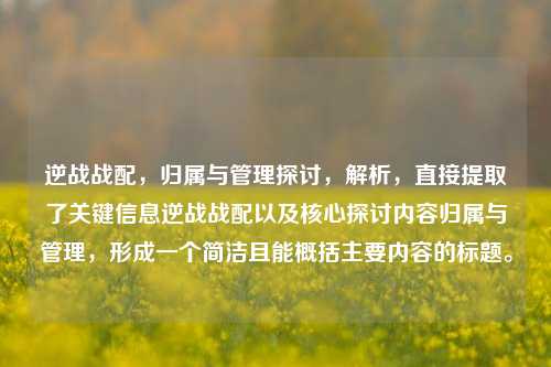 逆战战配，归属与管理探讨，解析，直接提取了关键信息逆战战配以及核心探讨内容归属与管理，形成一个简洁且能概括主要内容的标题。