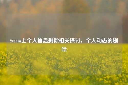 Steam上个人信息删除相关探讨,个人动态的删除