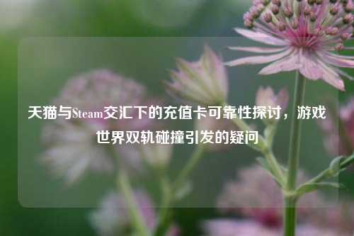 天猫与Steam交汇下的充值卡可靠性探讨,游戏世界双轨碰撞引发的疑问