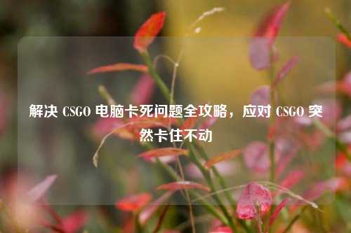 解决 CSGO 电脑卡死问题全攻略,应对 CSGO 突然卡住不动