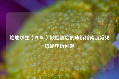 绝地求生(PUBG)被检测后的申诉指南及常见检测申诉问题