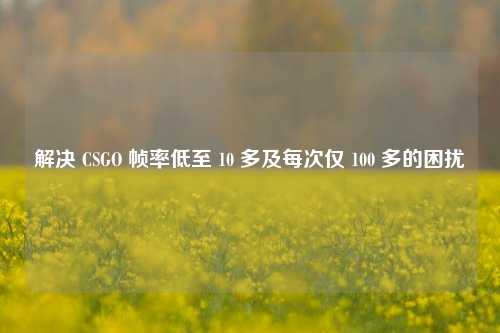 解决 CSGO 帧率低至 10 多及每次仅 100 多的困扰