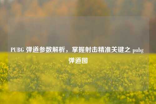 PUBG 弹道参数解析,掌握射击精准关键之 pubg 弹道图