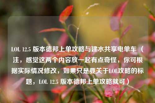 LOL 12.5 版本德邦上单攻略与建水共享电单车 (注,感觉这两个内容放一起有点奇怪,你可根据实际情况修改,如果只是要关于LOL攻略的标题,LOL 12.5 版本德邦上单攻略就可)