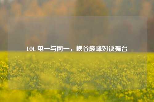 LOL 电一与网一，峡谷巅峰对决舞台