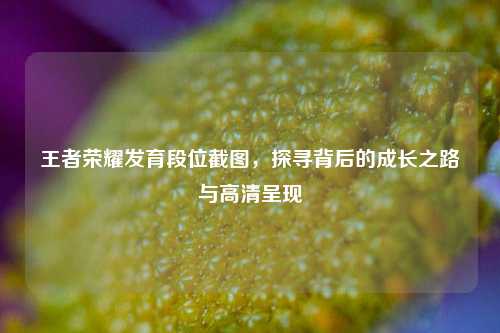 王者荣耀发育段位截图,探寻背后的成长之路与高清呈现