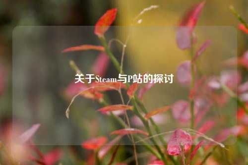 关于Steam与P站的探讨