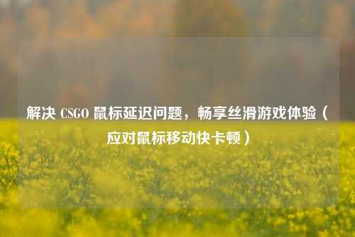 解决 CSGO 鼠标延迟问题，畅享丝滑游戏体验（应对鼠标移动快卡顿）