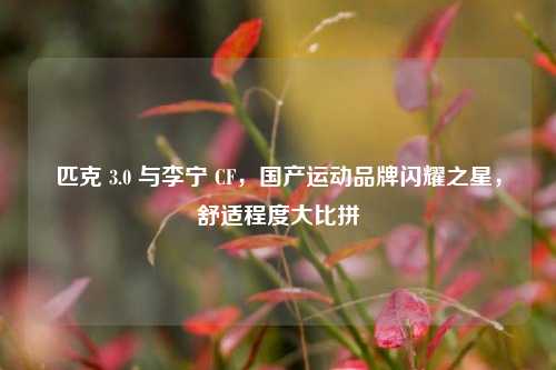 匹克 3.0 与李宁 CF,国产运动品牌闪耀之星,舒适程度大比拼