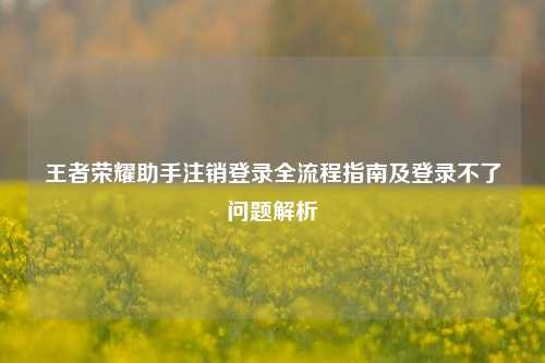 王者荣耀助手注销登录全流程指南及登录不了问题解析