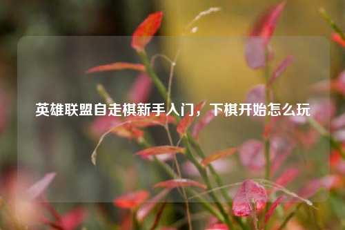 英雄联盟自走棋新手入门,下棋开始怎么玩
