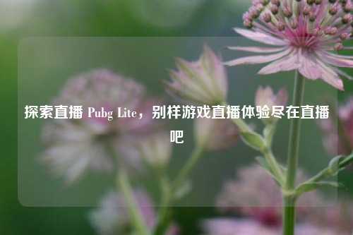 探索直播 Pubg Lite,别样游戏直播体验尽在直播吧