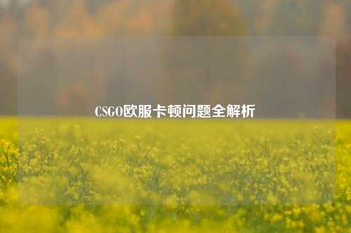 CSGO欧服卡顿问题全解析