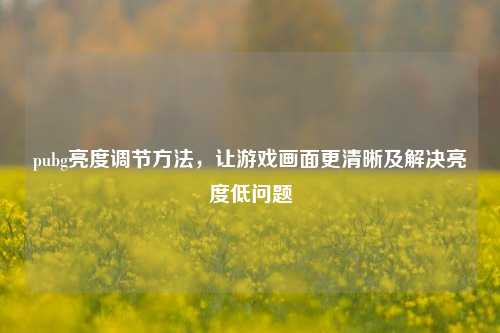 pubg亮度调节方法,让游戏画面更清晰及解决亮度低问题