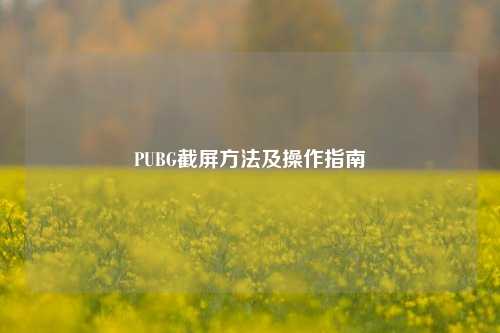 PUBG截屏方法及操作指南