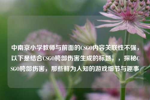 中南京小学教师与前面的CSGO内容关联性不强,以下是结合CSGO胯部伤害生成的标题,,探秘CSGO胯部伤害,那些鲜为人知的游戏细节与趣事