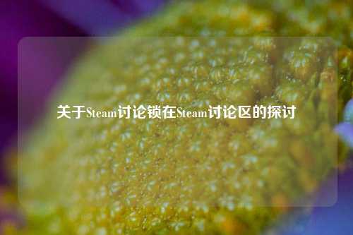 关于Steam讨论锁在Steam讨论区的探讨