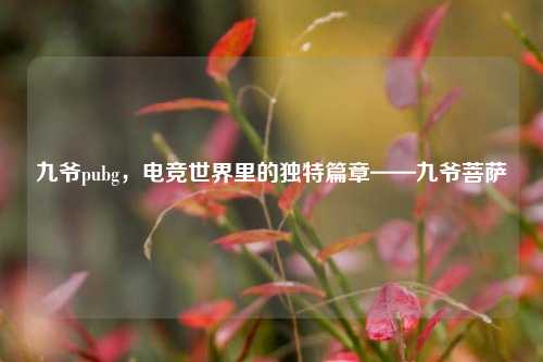 九爷pubg,电竞世界里的独特篇章——九爷菩萨