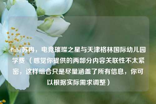 Pubg苏冉,电竞璀璨之星与天津格林国际幼儿园学费 (感觉你提供的两部分内容关联性不太紧密,这样组合只是尽量涵盖了所有信息,你可以根据实际需求调整)