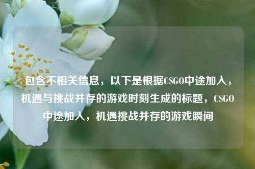 包含不相关信息,以下是根据CSGO中途加入,机遇与挑战并存的游戏时刻生成的标题,CSGO中途加入,机遇挑战并存的游戏瞬间