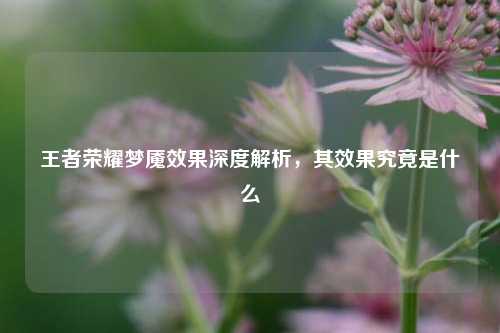 王者荣耀梦魇效果深度解析,其效果究竟是什么