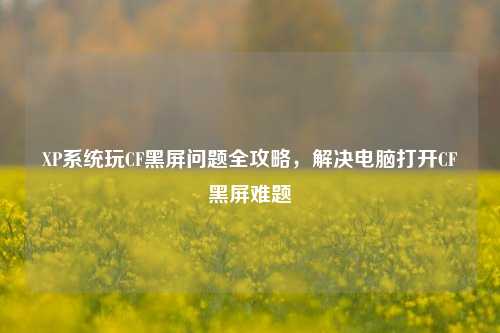 XP系统玩CF黑屏问题全攻略，解决电脑打开CF黑屏难题