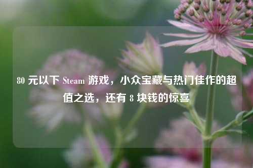 80 元以下 Steam 游戏,小众宝藏与热门佳作的超值之选,还有 8 块钱的惊喜